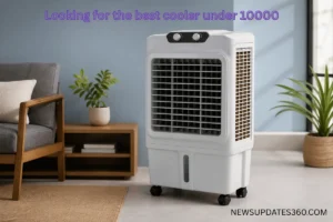 Best Cooler Under 10000